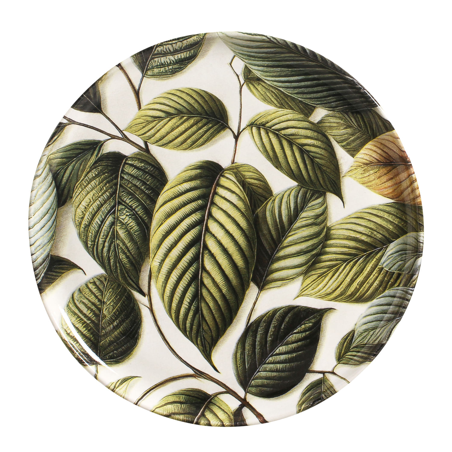 Conjunto com 6 Pratos Raso Bio Éden Ø27,5cm