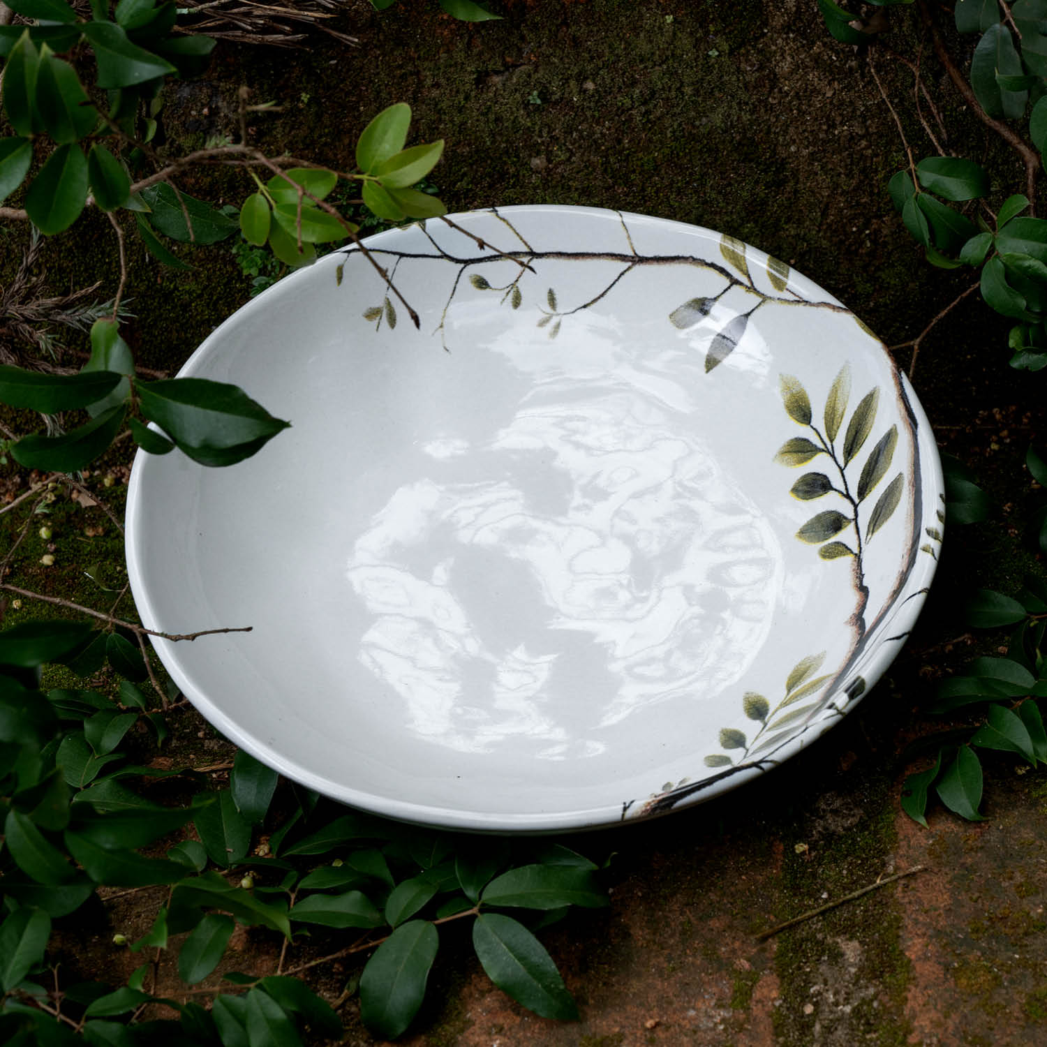 Conjunto com 6 Pratos Fundo Bio Birdy Ø22,5cm 830ml - Imagem 3