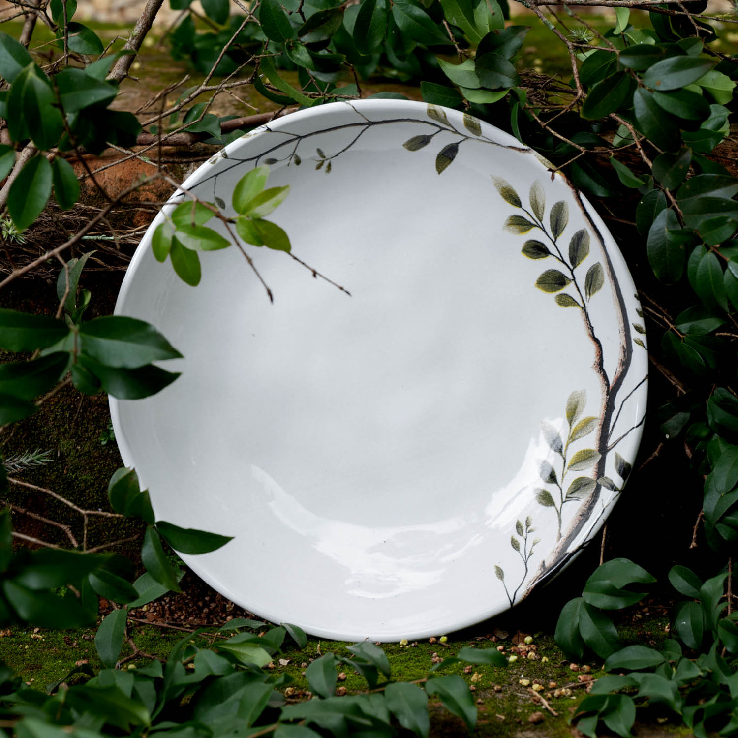 Conjunto com 6 Pratos Fundo Bio Birdy Ø22,5cm 830ml - Imagem 2