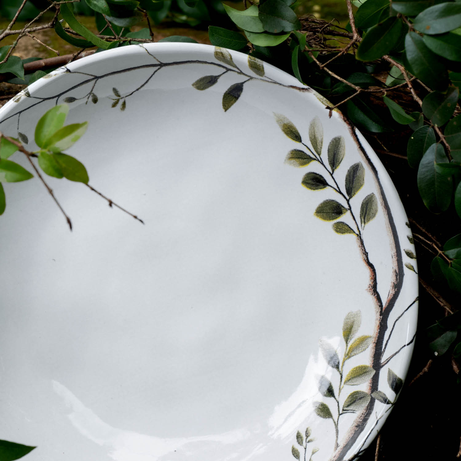 Conjunto com 6 Pratos Fundo Bio Birdy Ø22,5cm 830ml - Imagem 4