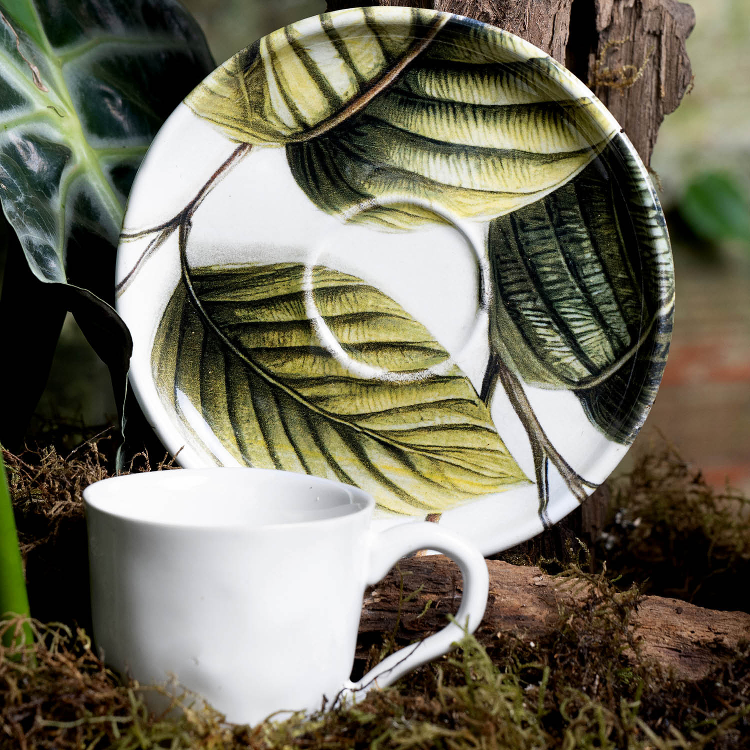 Conjunto com 6 Xícaras De Café com 6 Pires Bio Éden 120ml - Imagem 5