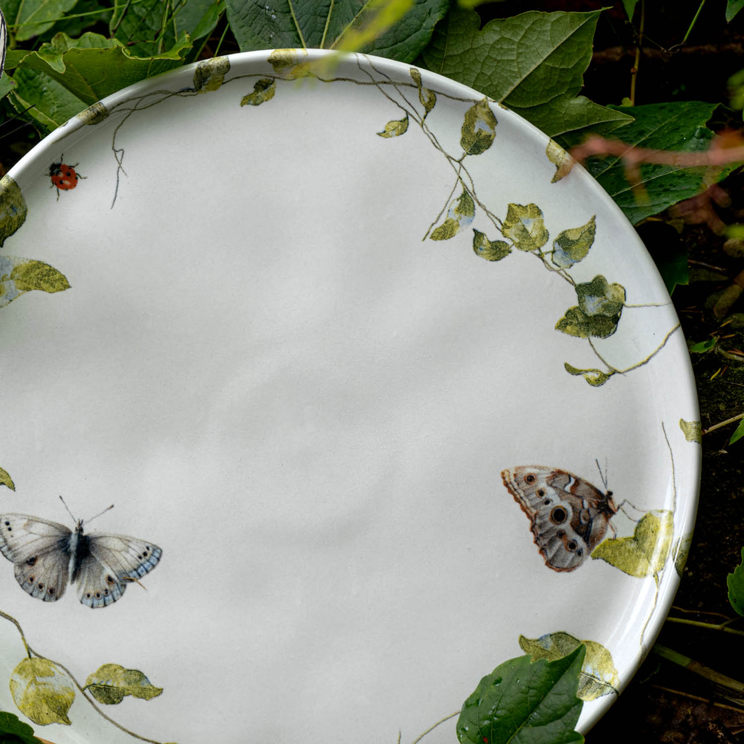 Conjunto com 6 Pratos Raso Bio Sereno Ø27,5cm - Imagem 4