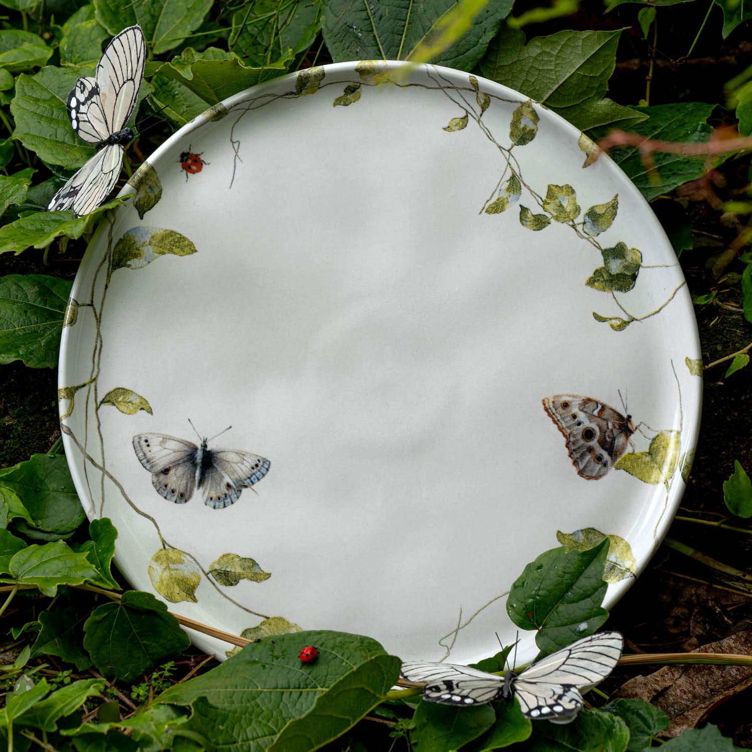 Conjunto com 6 Pratos Raso Bio Sereno Ø27,5cm - Imagem 2