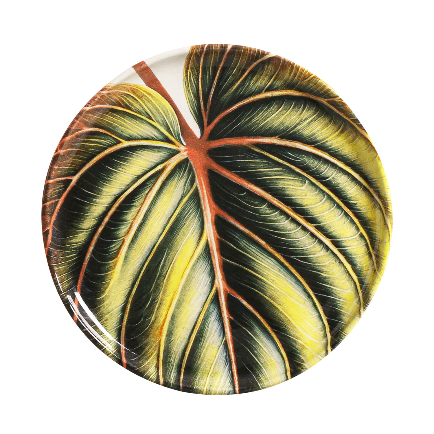 Conjunto com 6 Pratos De Sobremesa Bio Éden Ø21,5cm