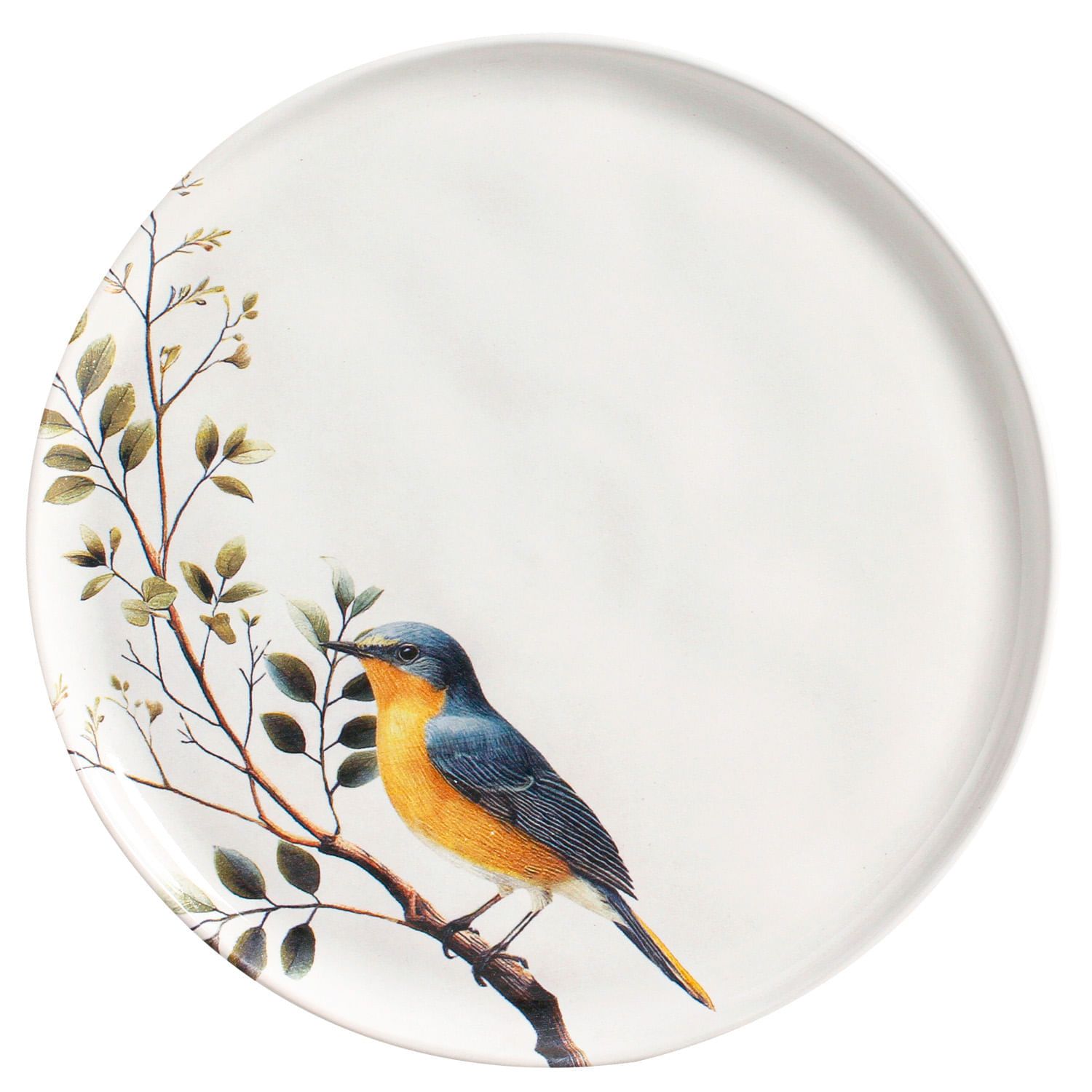 Conjunto com 6 Pratos Raso Bio Birdy Ø27,5cm