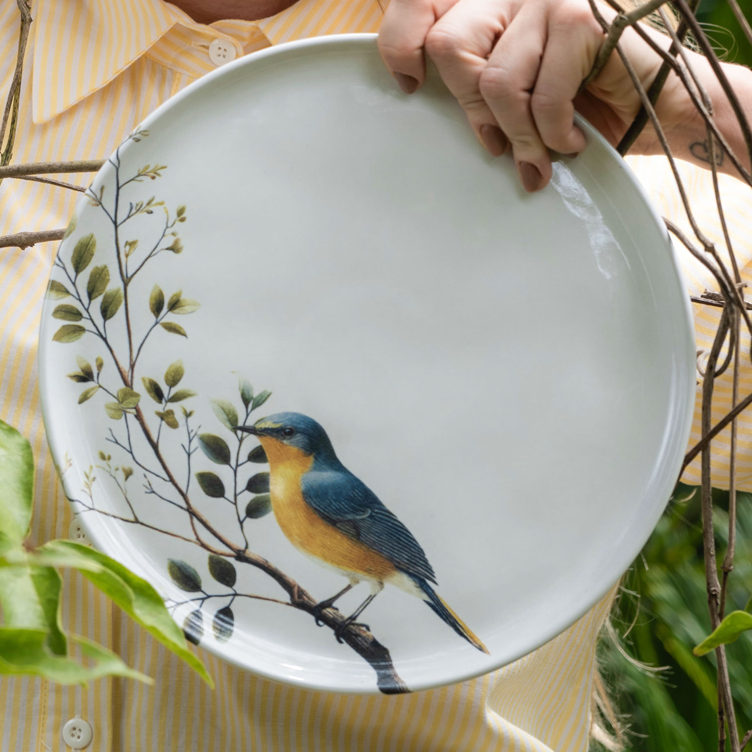 Conjunto com 6 Pratos Raso Bio Birdy Ø27,5cm - Imagem 5