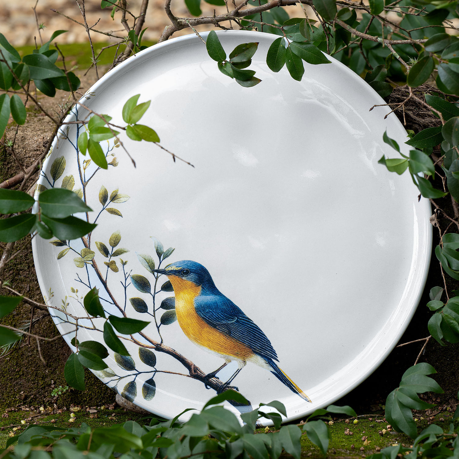 Conjunto com 6 Pratos Raso Bio Birdy Ø27,5cm - Imagem 2