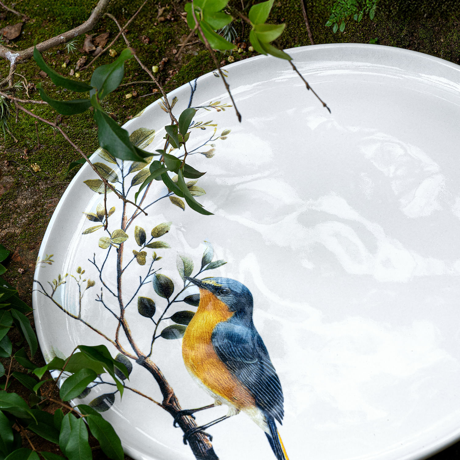 Conjunto com 6 Pratos Raso Bio Birdy Ø27,5cm - Imagem 6