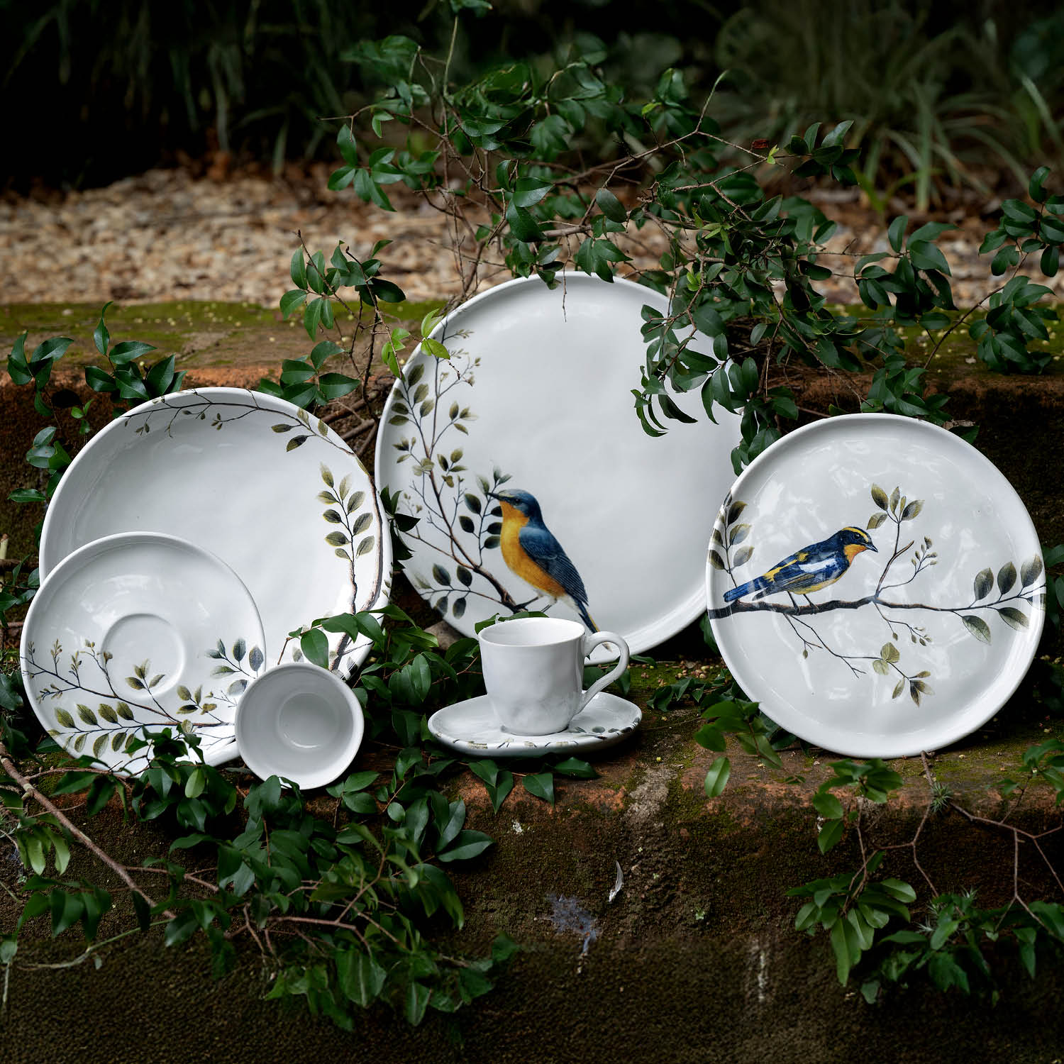 Conjunto com 6 Pratos Raso Bio Birdy Ø27,5cm - Imagem 8