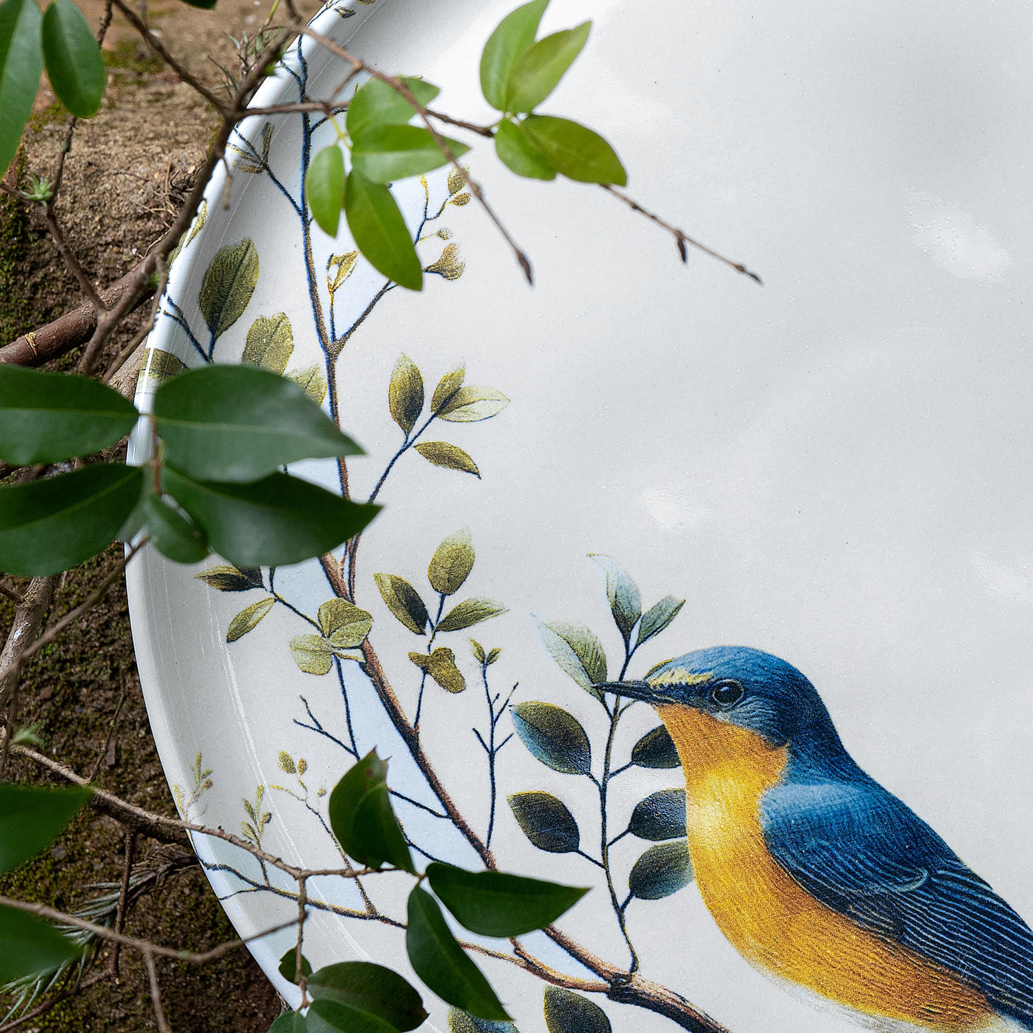 Conjunto com 6 Pratos Raso Bio Birdy Ø27,5cm - Imagem 7