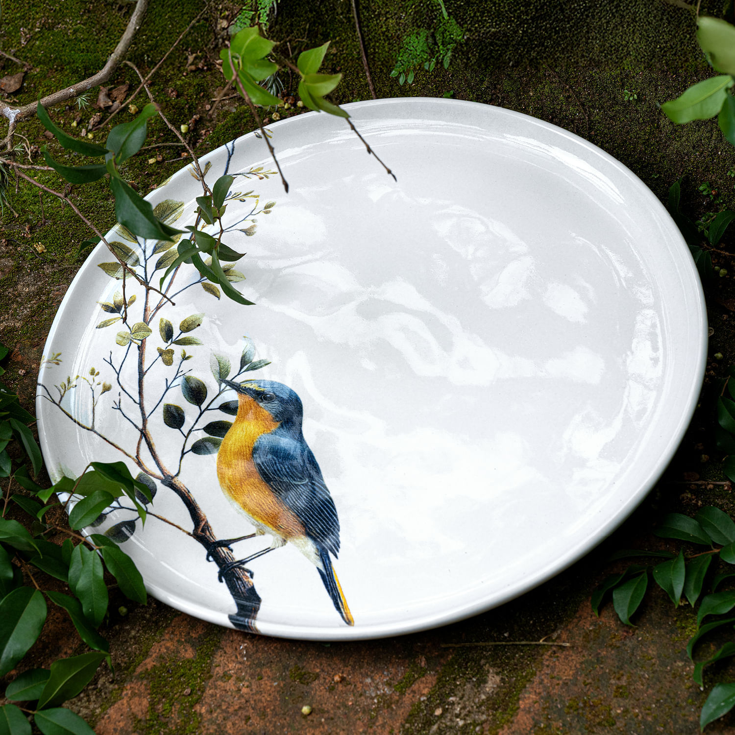 Conjunto com 6 Pratos Raso Bio Birdy Ø27,5cm - Imagem 3