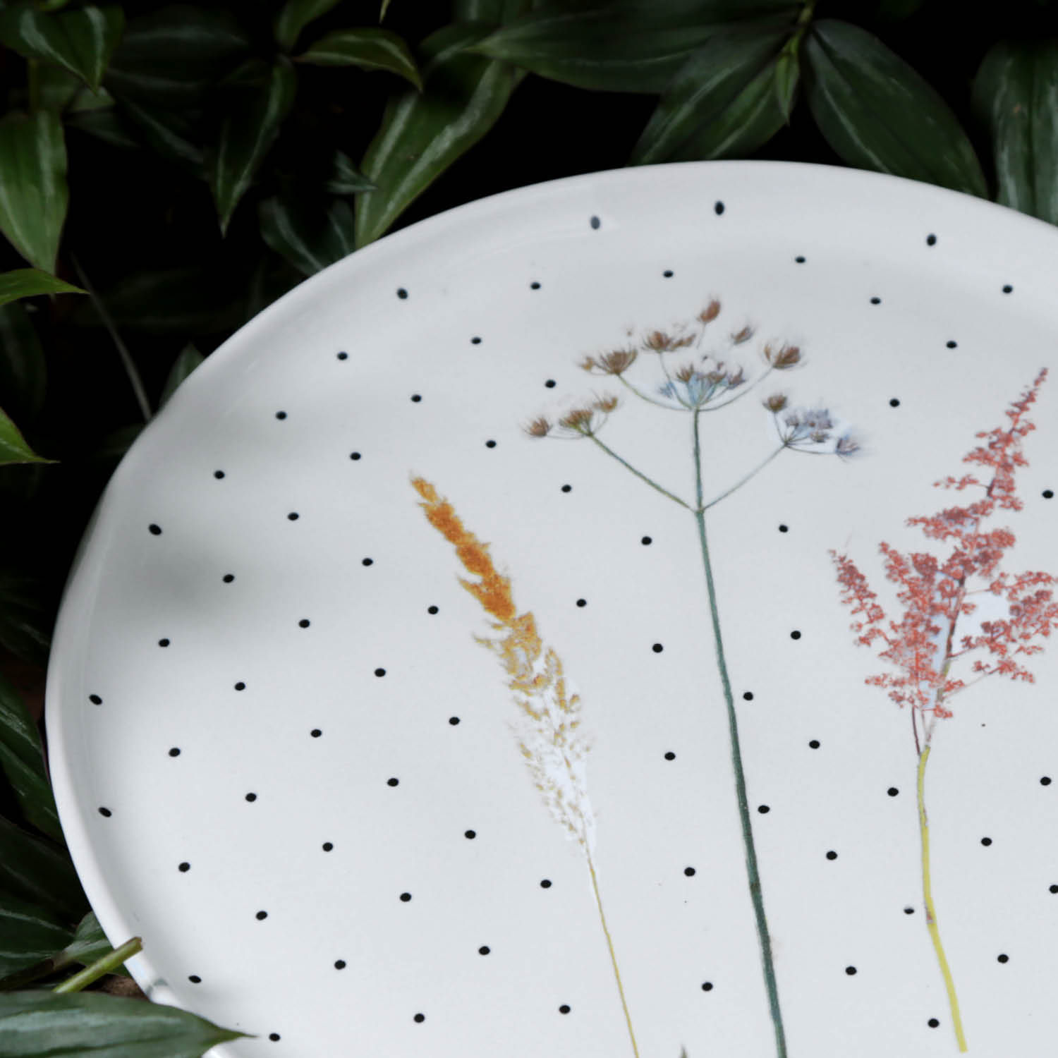 Conjunto com 6 Pratos Raso Bio Floralis Ø27,5cm - Imagem 5