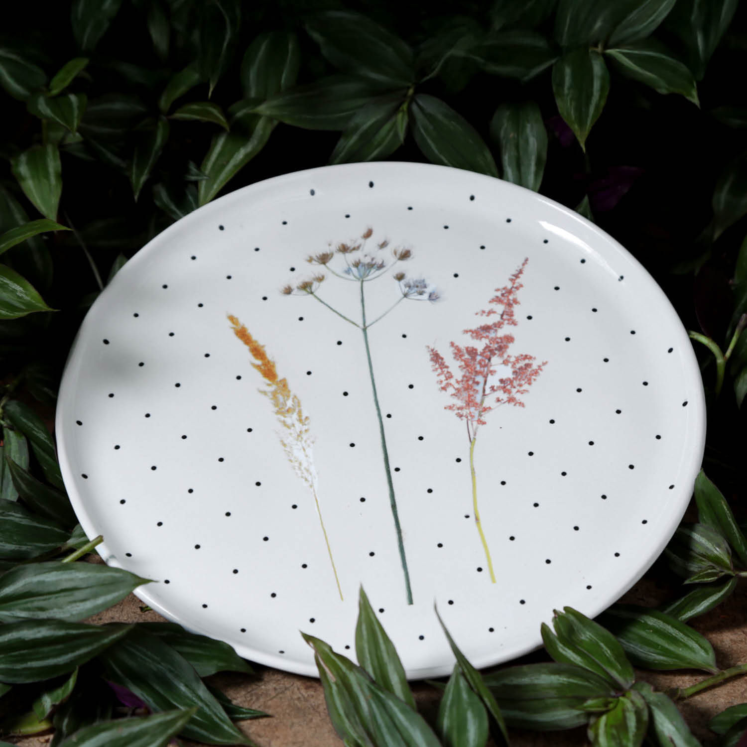Conjunto com 6 Pratos Raso Bio Floralis Ø27,5cm - Imagem 3