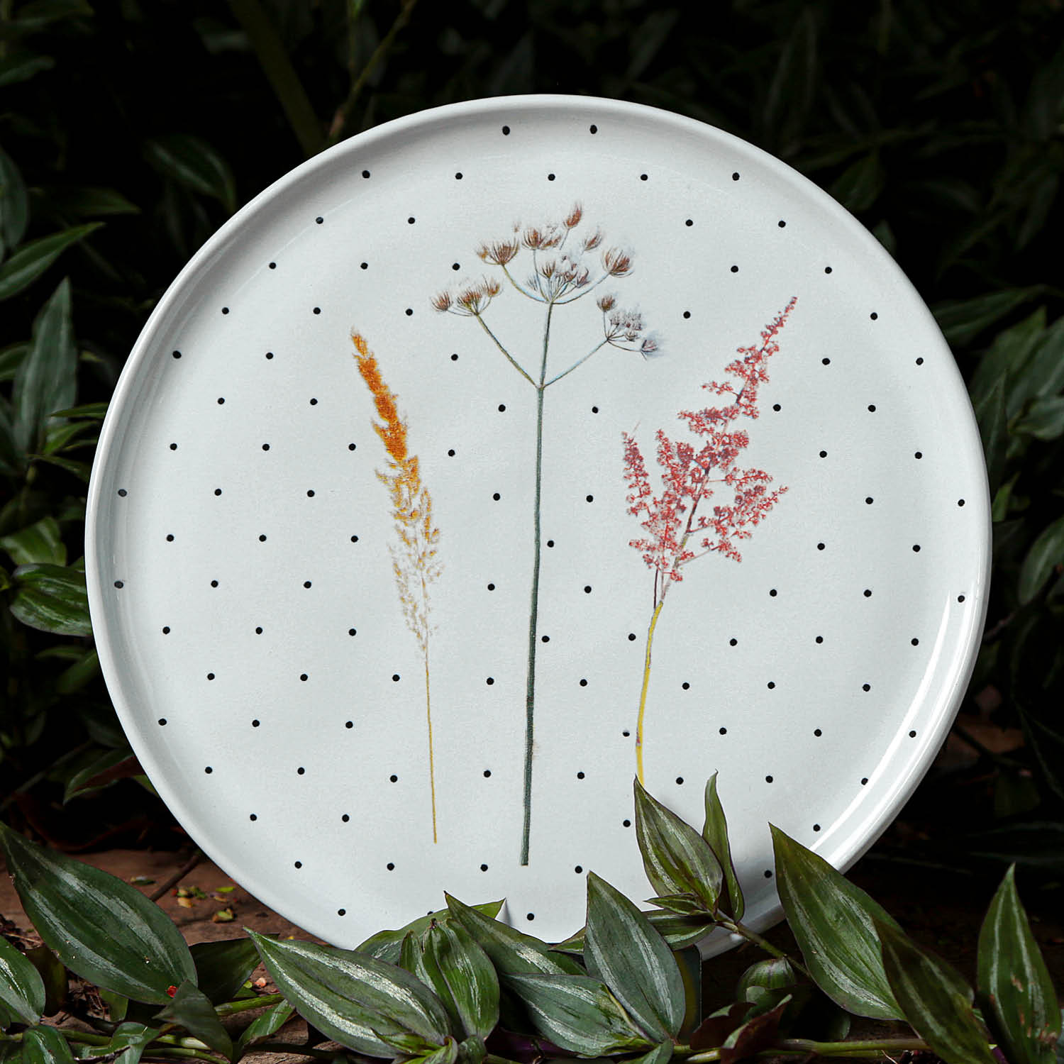 Conjunto com 6 Pratos Raso Bio Floralis Ø27,5cm - Imagem 2