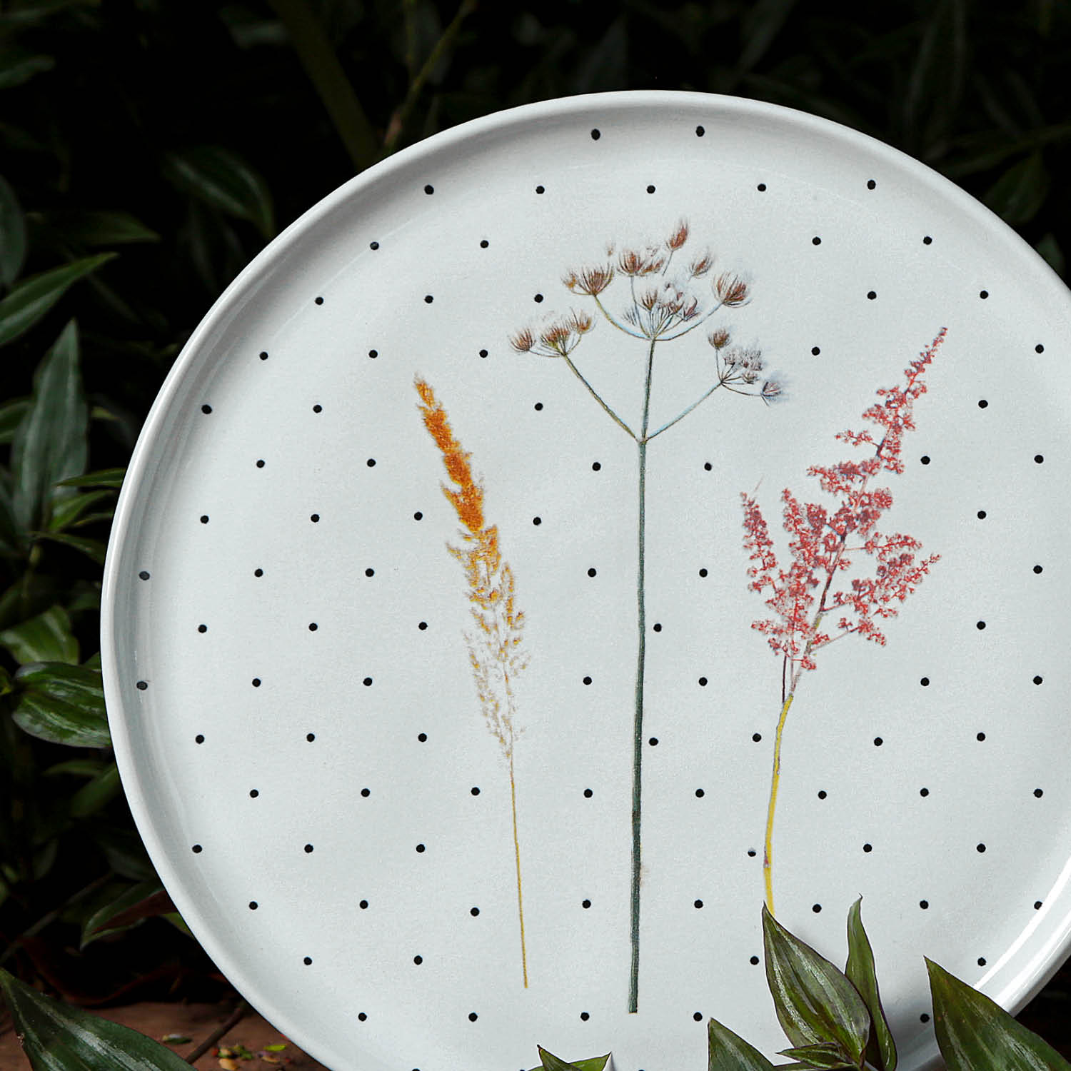 Conjunto com 6 Pratos Raso Bio Floralis Ø27,5cm - Imagem 4