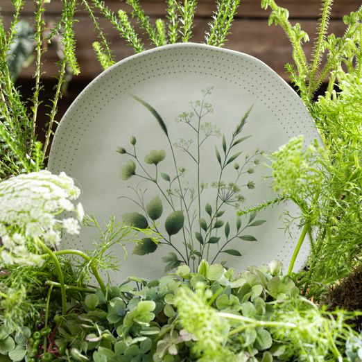 image-bed208fd48674ba7a37ccfbad3370c2d