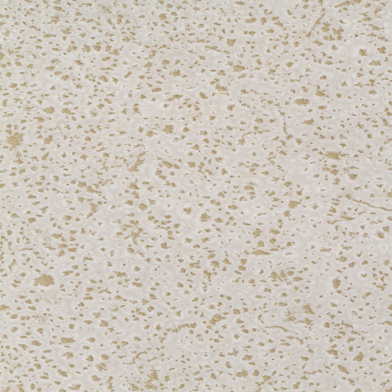 Travessas Redonda Grande Orgânico Stoneware Vanilla Ø36cm - Imagem 7