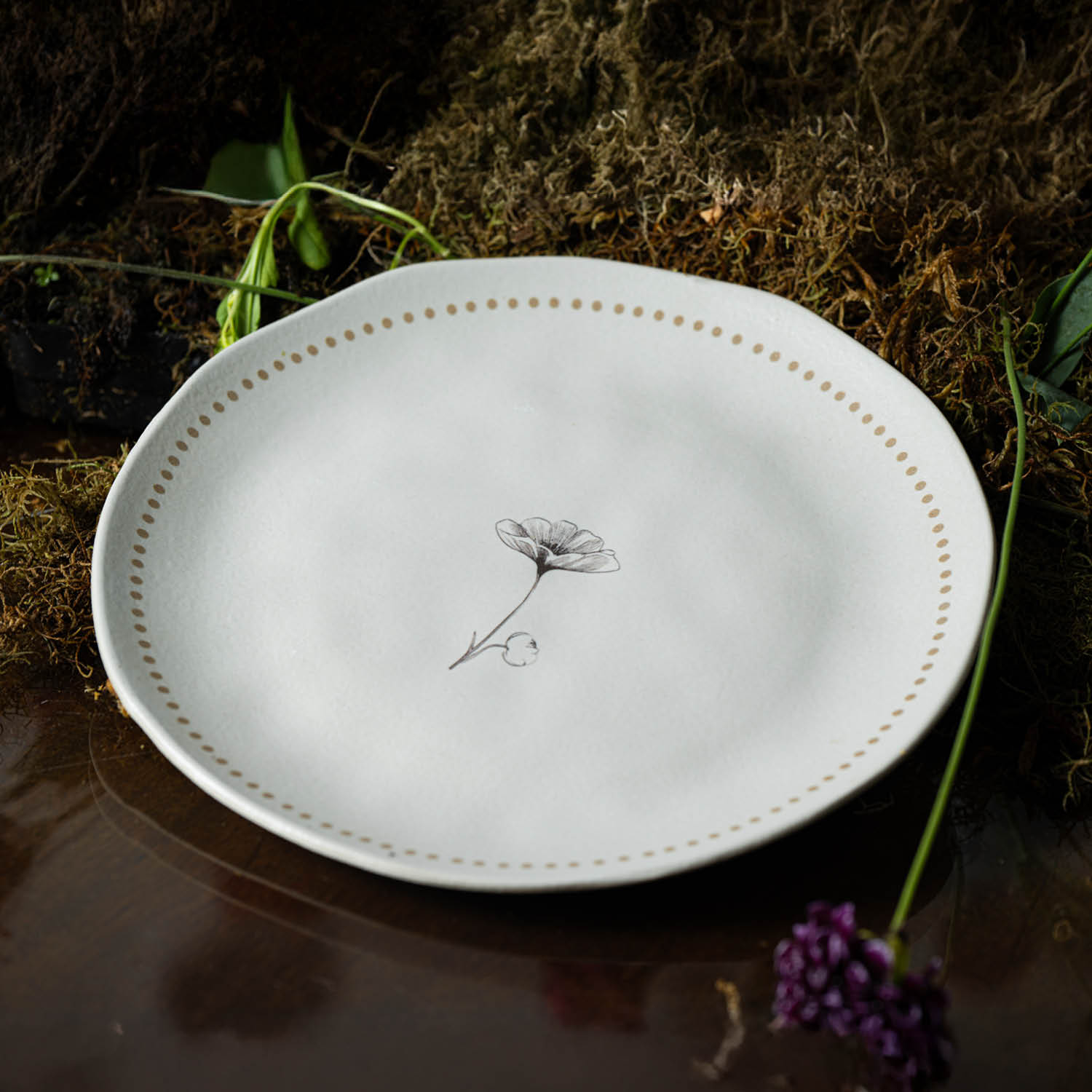 Conjunto com 6 Pratos Raso Orgânico Amana Ø26,5cm - Imagem 3