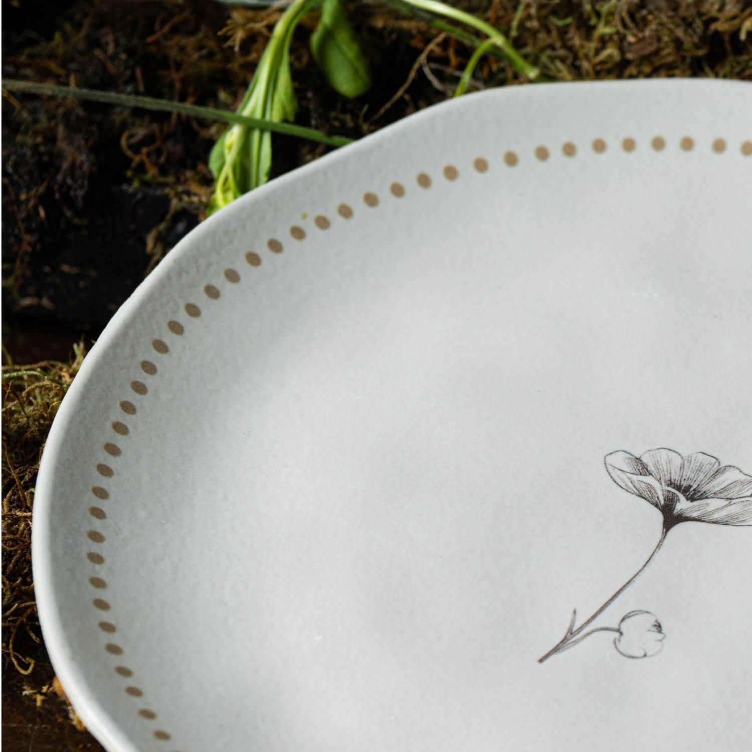 Conjunto com 6 Pratos Raso Orgânico Amana Ø26,5cm - Imagem 6