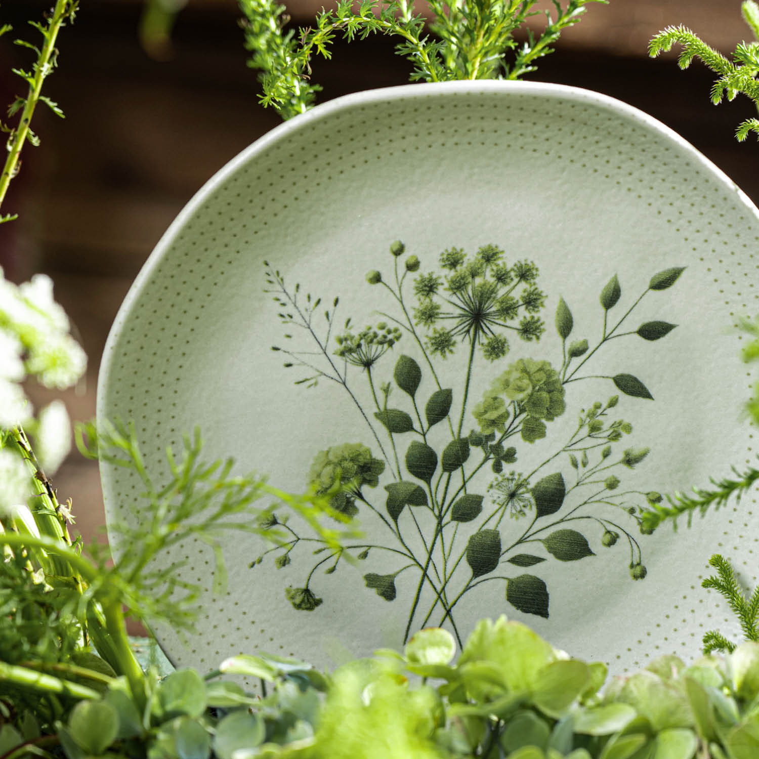 Conjunto com 6 Pratos de Sobremesa Orgânico Ammi Ø19,5cm - Imagem 5