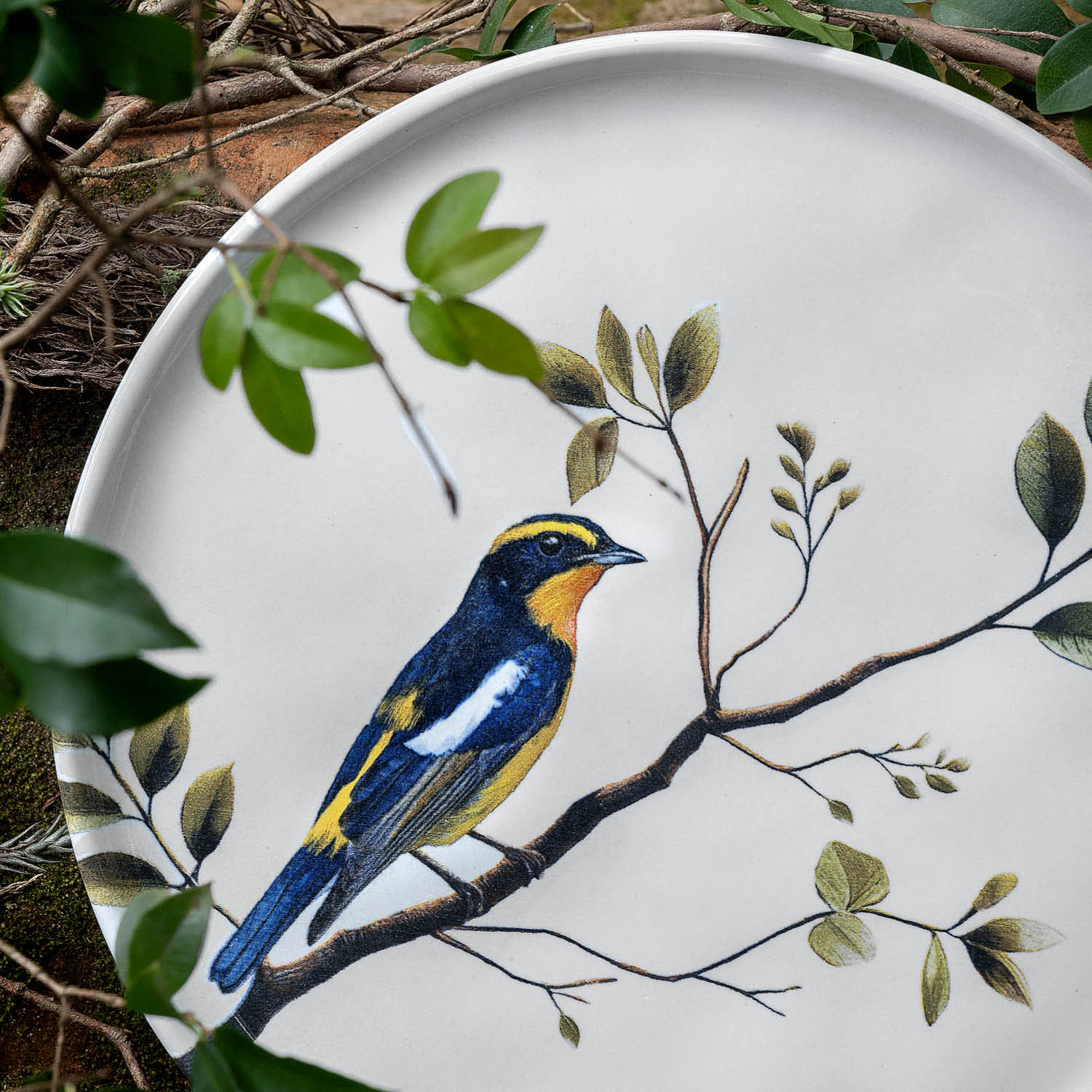 Conjunto com 6 Pratos De Sobremesa Bio Birdy Ø21,5cm - Imagem 5