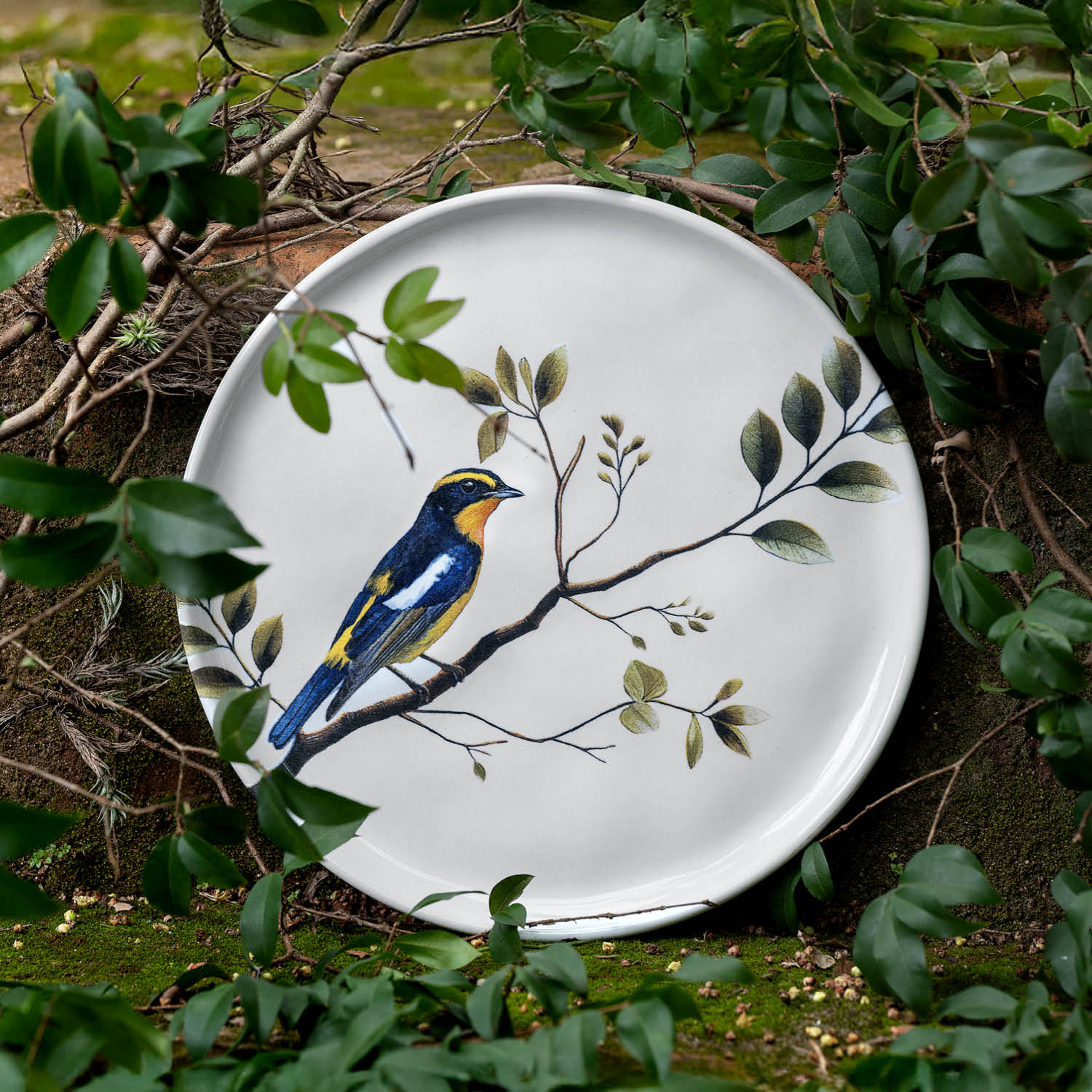 Conjunto com 6 Pratos De Sobremesa Bio Birdy Ø21,5cm - Imagem 2