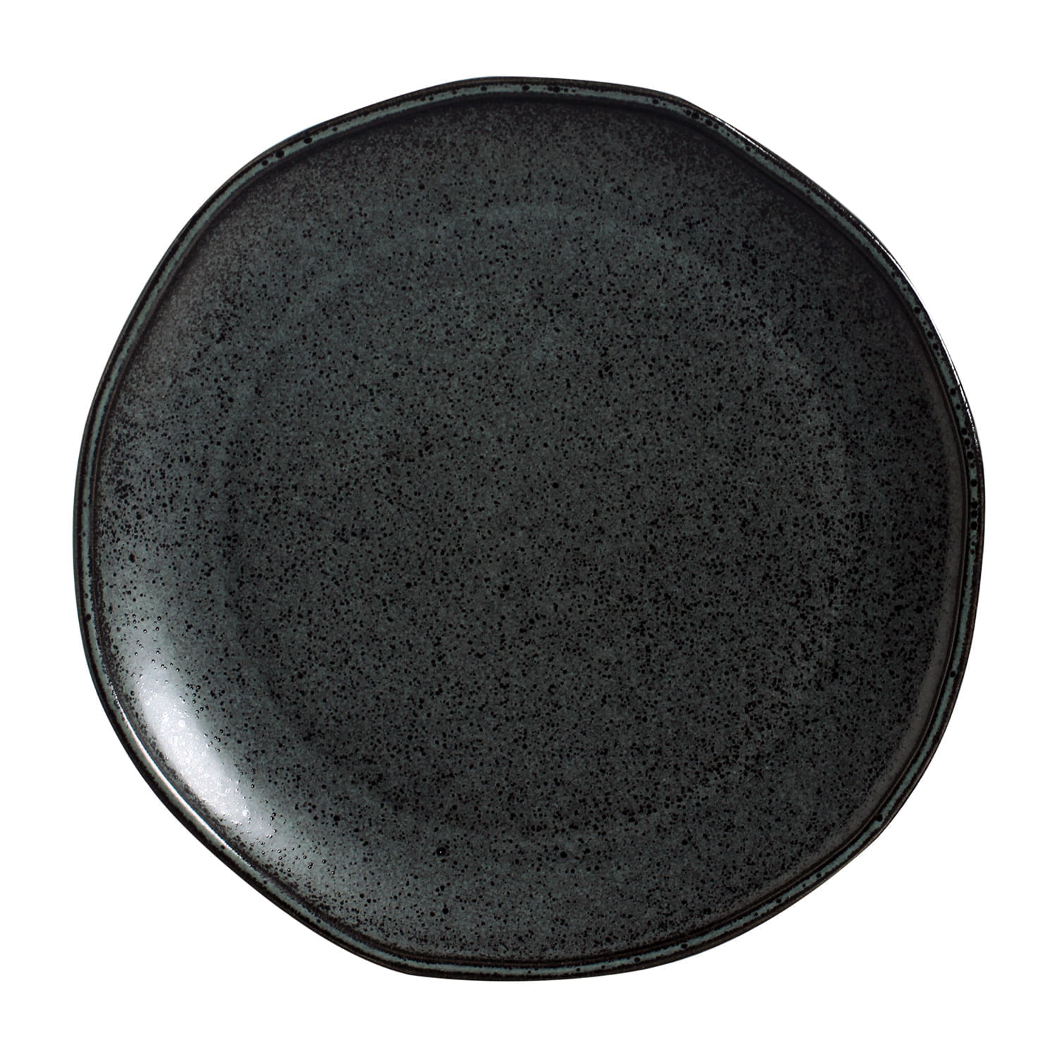 Conjunto com 12 Pratos Raso Daily Intense Ø25cm