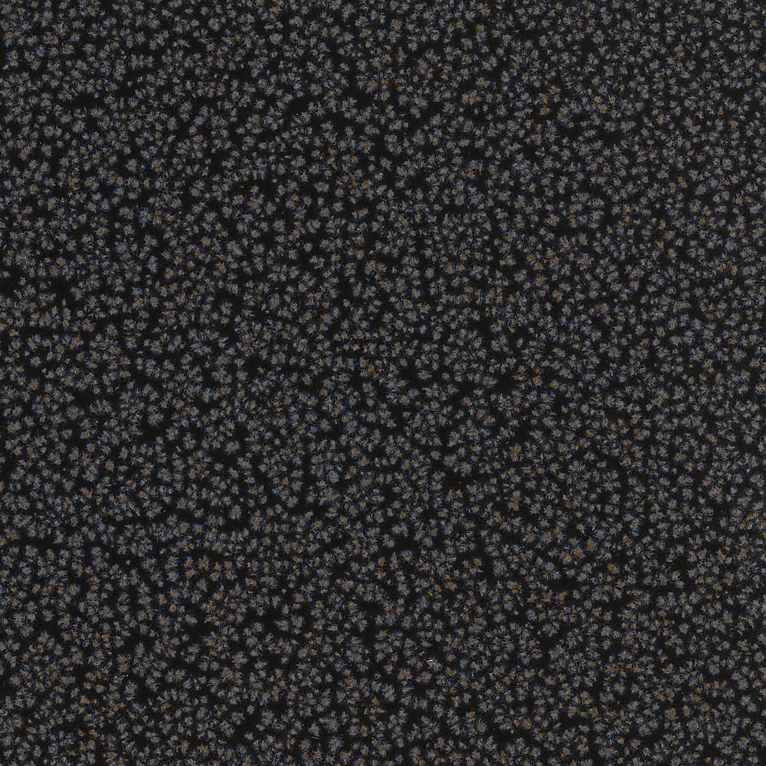 Conjunto com 12 Pratos Fundo Basic Dove Ø20,5cm 893ml - Imagem 7