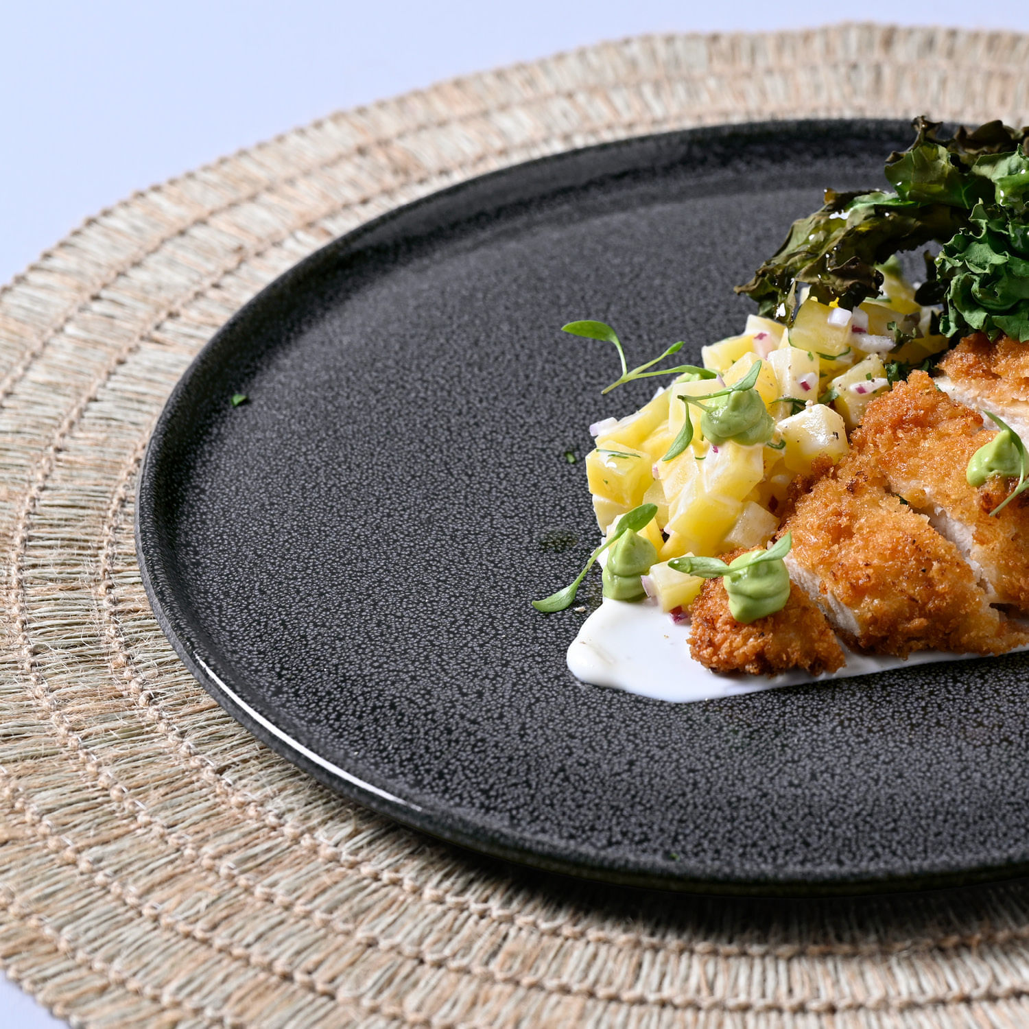 Conjunto com 12 Pratos Raso Basic Dove Ø25cm - Imagem 5