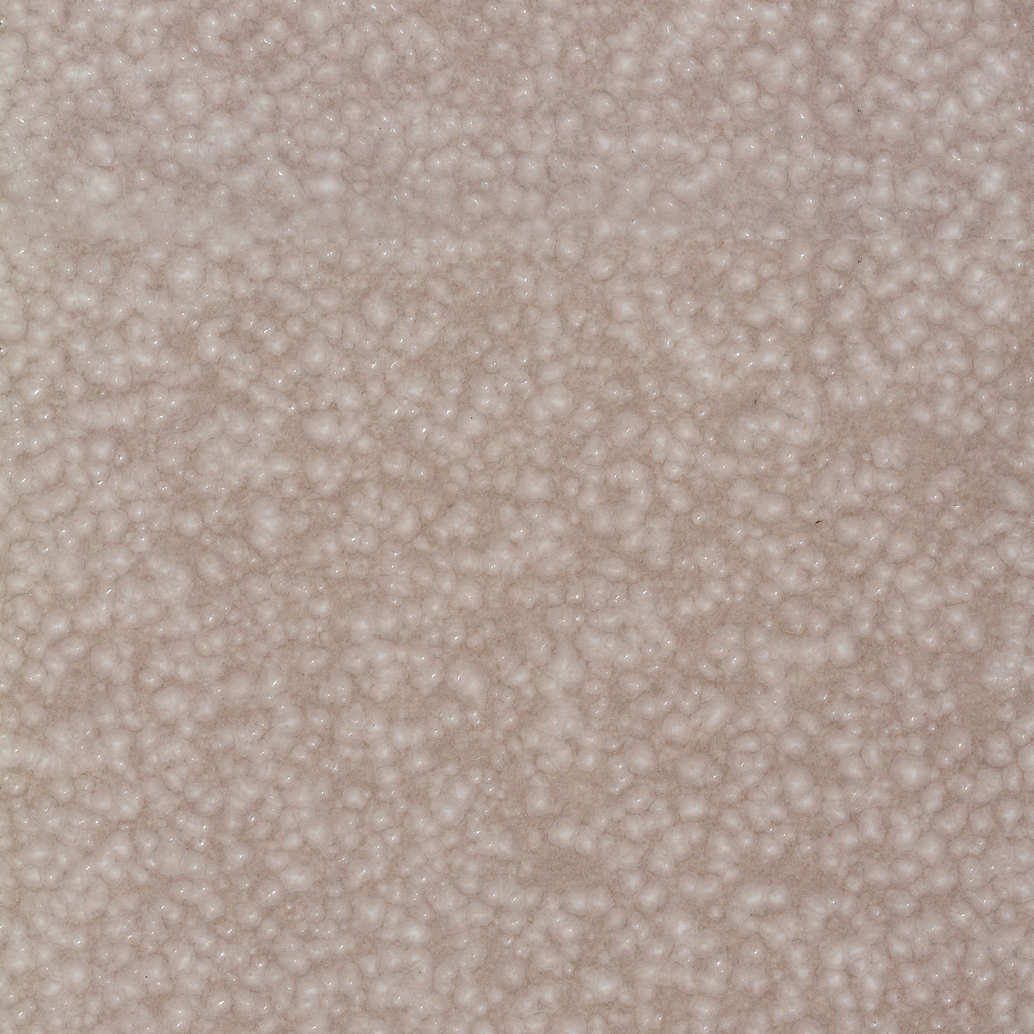 Conjunto com 12 Pratos Raso Basic Sandy Ø25cm - Imagem 6