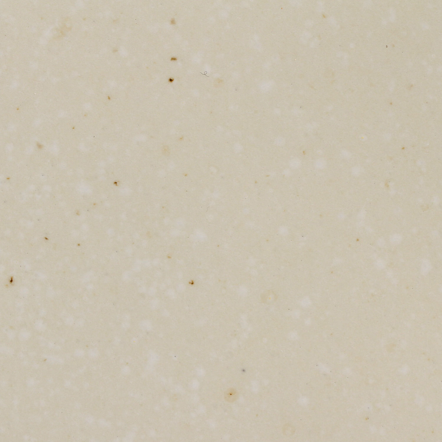 Kit Lanche Orgânico Shiny 4 Peças - Imagem 6